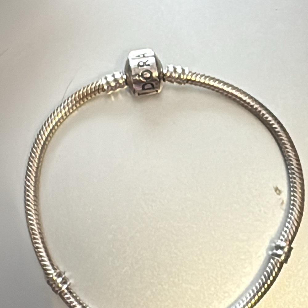 Pandora Silver Charm Bracelet